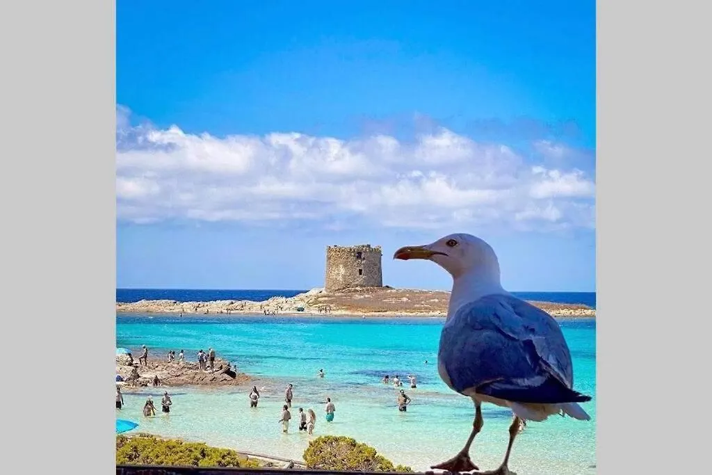 Сasa de vacaciones Pelosa - Capo Falcone Excellent Apartment Stintino Italia