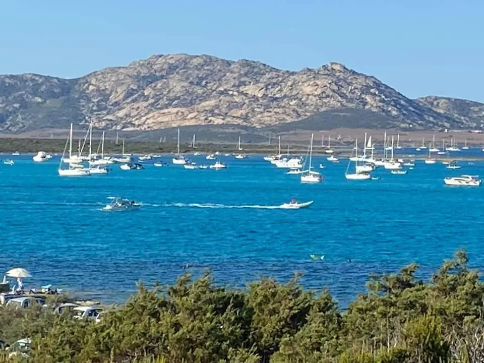 بيت للعطل Pelosa - Capo Falcone Excellent Apartment ستينتينو